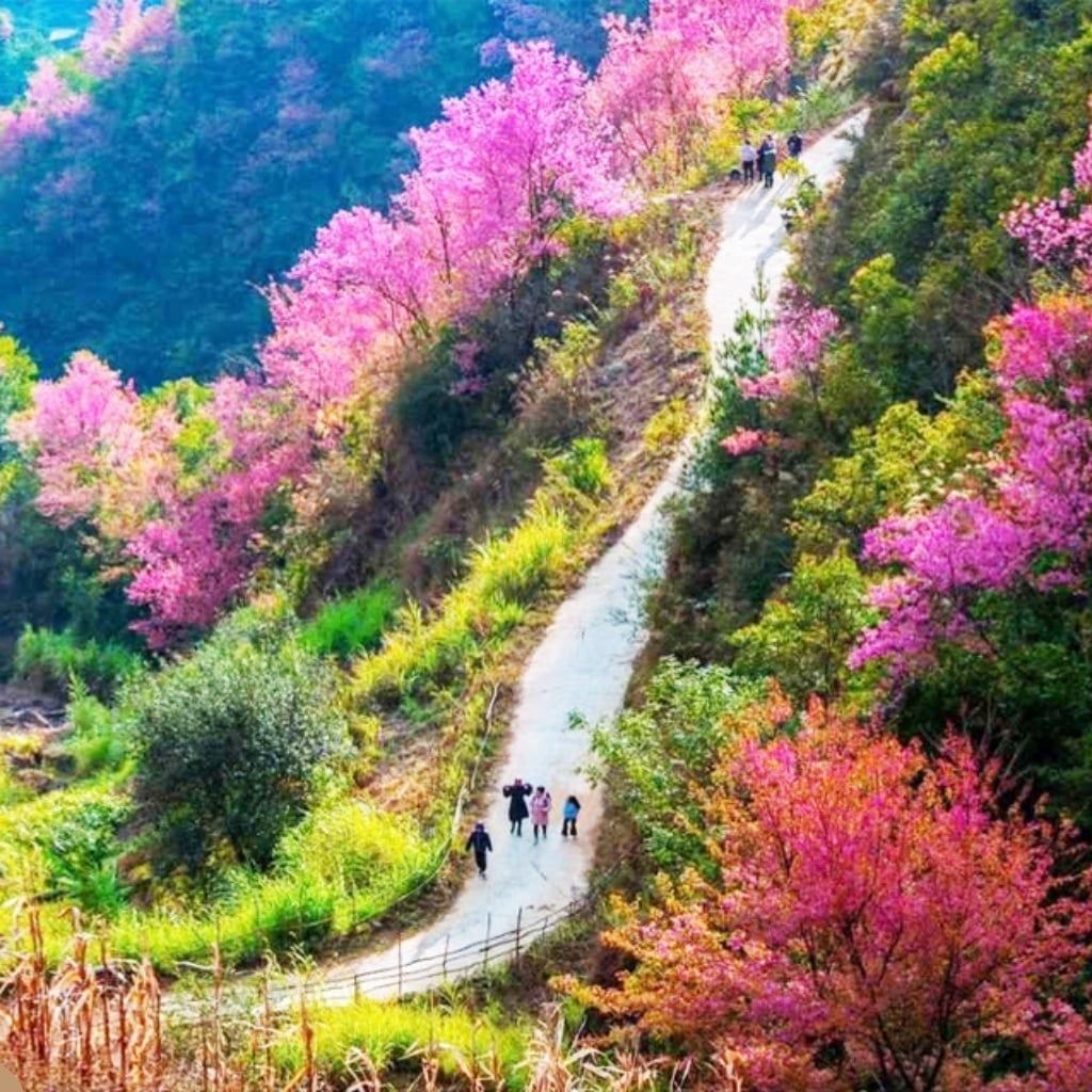 Hình ảnh bài viết
