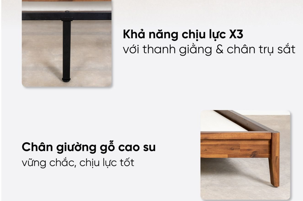Nội dung sản phẩm giuong hobro