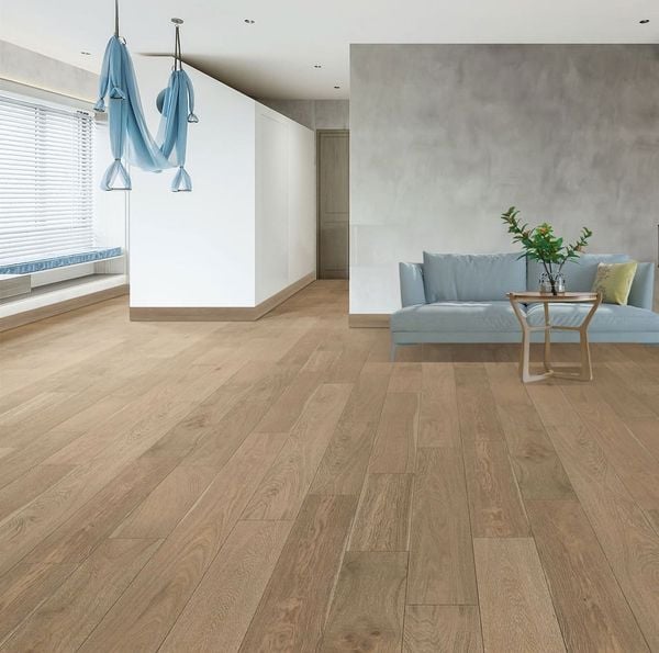 15050-8.8.S5 phối cảnh