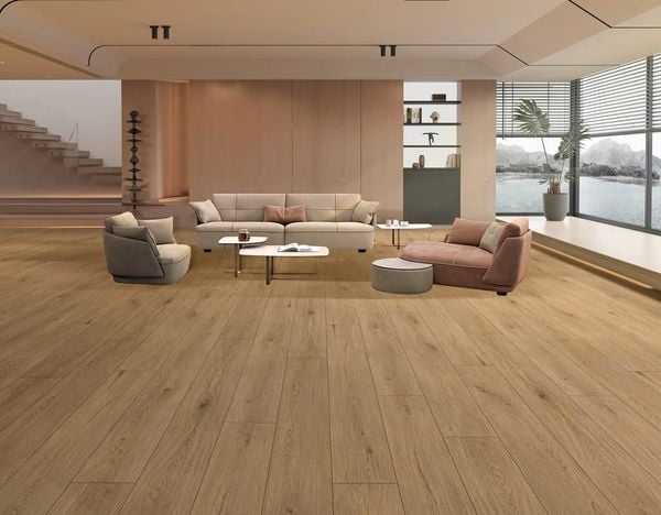 AF2014 phối cảnh