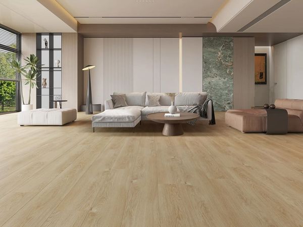 AF2054 phối cảnh