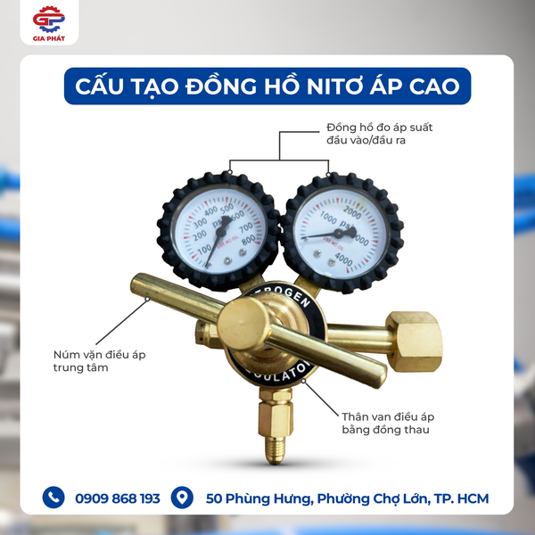 dong-ho-nito