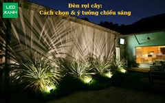 Đèn rọi cây: Cách chọn & ý tưởng chiếu sáng m/Y