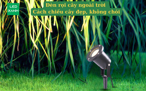 Đèn rọi cây ngoài trời – Cách chiếu cây đẹp, không chói