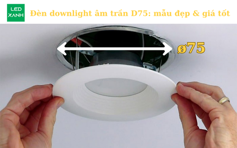 Đèn downlight âm trần D75: mẫu đẹp & giá tốt 11-2025