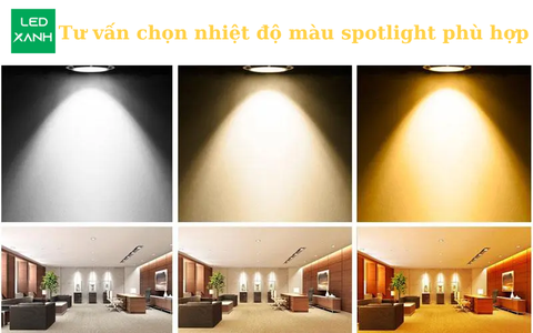 Tư vấn chọn nhiệt độ màu spotlight phù hợp (3000K – 4000K – 6500K).