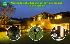 Nguyên tắc phối hợp đèn rọi cây, đèn âm đất và đèn cắm cỏ
