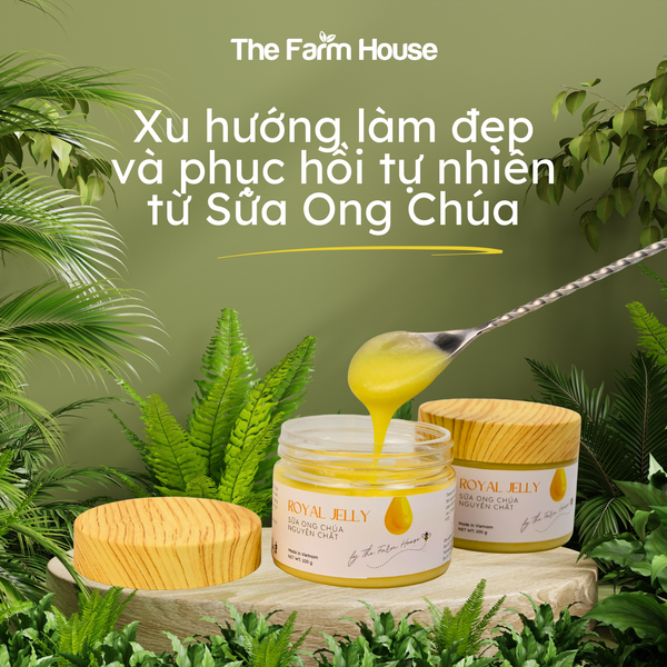 Xu hướng làm đẹp và phục hồi tự nhiên từ Sữa Ong Chúa