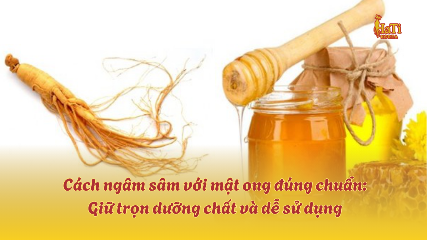 Cách Ngâm Sâm Với Mật Ong Đúng Chuẩn | HATI Korea – HaTi - Nhân Sâm Korea