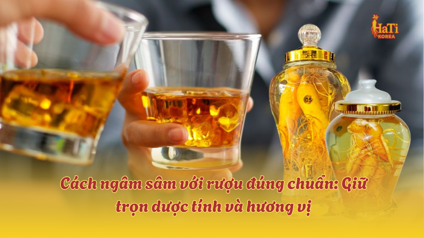 Cách Ngâm Sâm Với Rượu Đúng Chuẩn | HATI Korea – HaTi - Nhân Sâm Korea