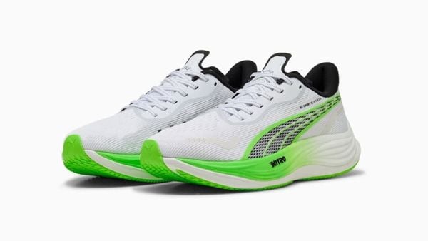 giày chạy bộ puma