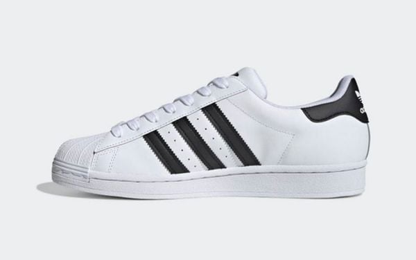 giày adidas Superstar shelltoe