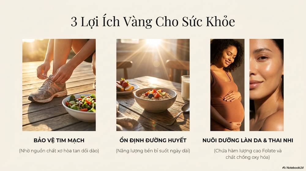 Hướng Dẫn Chọn Mua Và Cách Nấu Đậu Gà Hữu Cơ Thơm Ngon, Dinh Dưỡng Nhất Cho Gia Đình