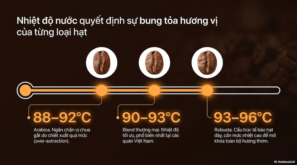 Cách Pha Cafe Phin Lớn Đúng Chuẩn — Từ 100g Đến 300g Mỗi Mẻ