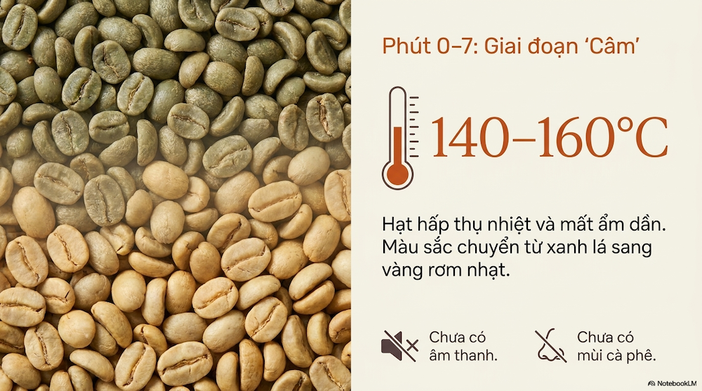 Cách Rang Cà Phê Tại Nhà: Hướng Dẫn Từng Bước Cho Người Mới Bắt Đầu