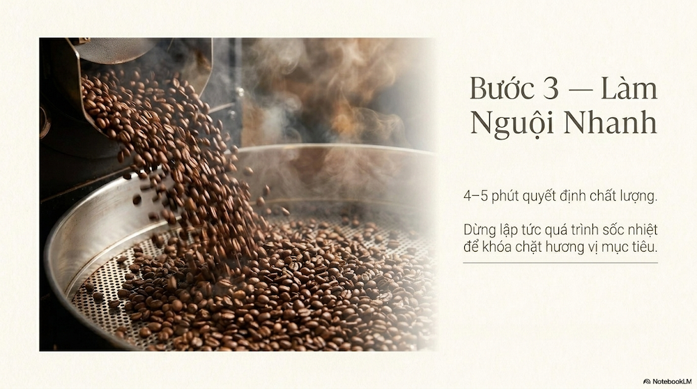 Cơ Sở Rang Cà Phê Gia Công: Hướng Dẫn Chi Tiết Chi Phí, Quy Trình & Cách Chọn