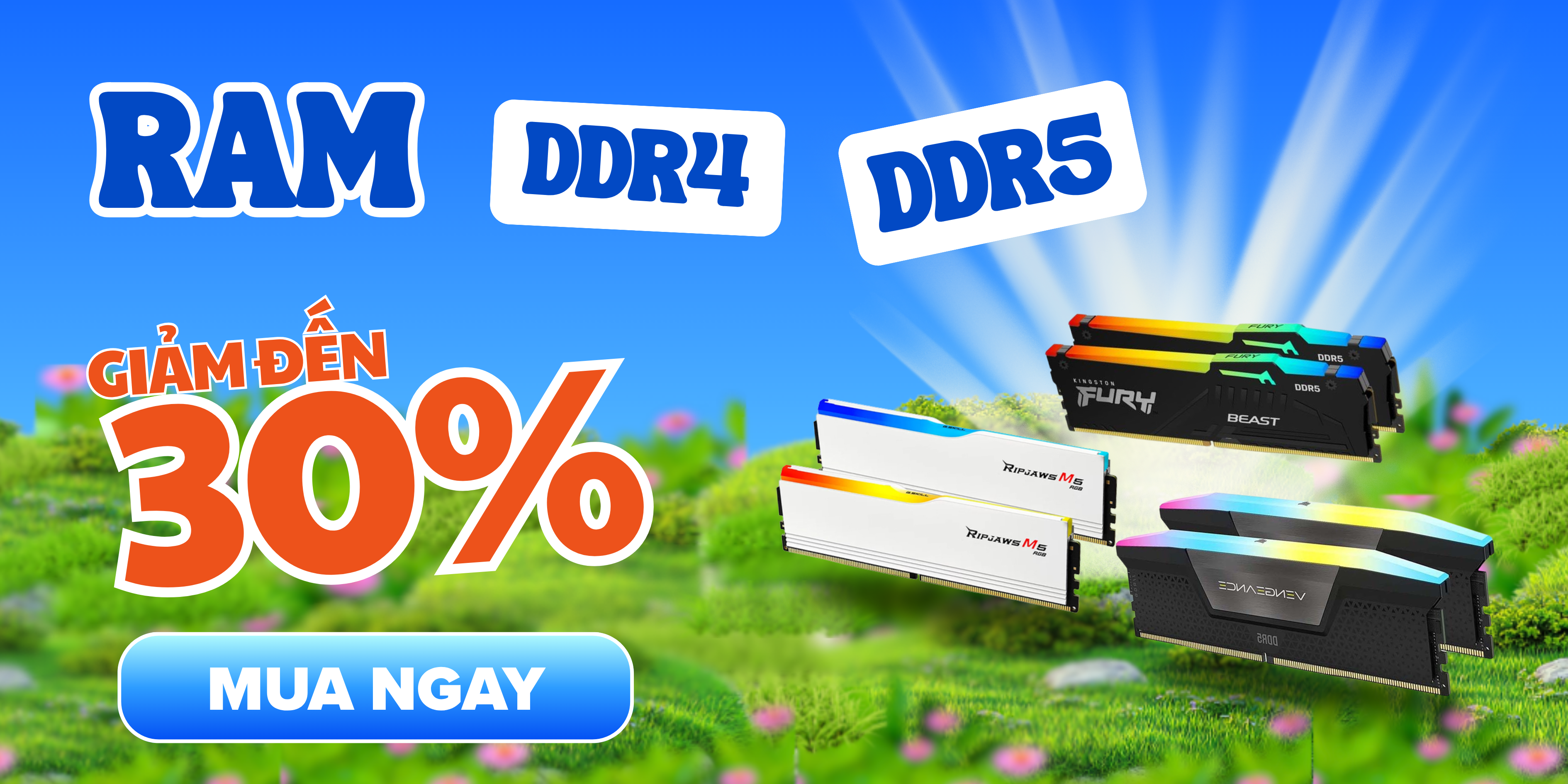 Ram 30%