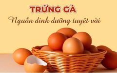 THÀNH PHẦN DINH DƯỠNG CỦA TRỨNG