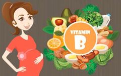 VAI TRÒ VITAMIN B TRONG THAI KỲ