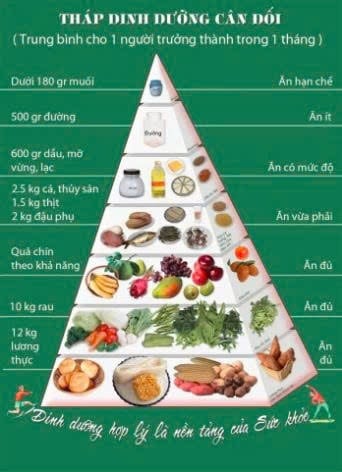 TẦM QUAN TRỌNG CỦA CHẾ ĐỘ ĂN CÂN ĐỐI