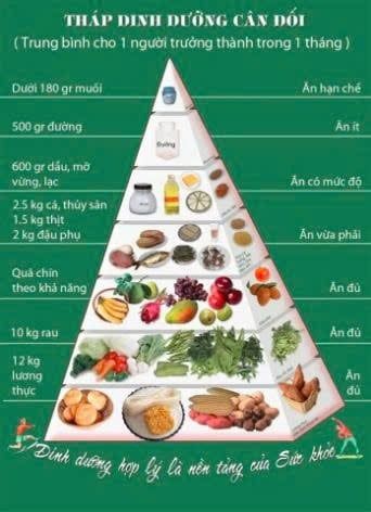 TẦM QUAN TRỌNG CỦA CHẾ ĐỘ ĂN CÂN ĐỐI