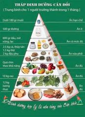 TẦM QUAN TRỌNG CỦA CHẾ ĐỘ ĂN CÂN ĐỐI