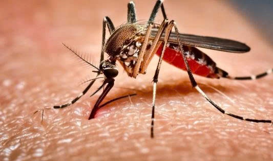 NHỮNG BIỂU HIỆN CẢNH BÁO SỐT XUẤT HUYẾT Ở TRẺ EM