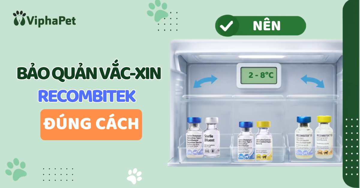 BẢO QUẢN VẮC-XIN THÚ Y RECOMBITEK ĐÚNG CÁCH