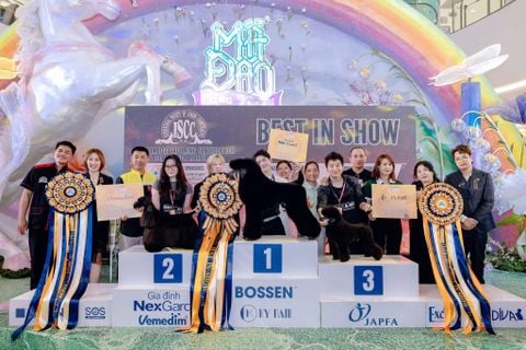 ĐỒNG HÀNH CÙNG ISCC GROOMING COMPETITION 2026 – SỰ KIỆN ĐẲNG CẤP QUỐC TẾ DÀNH CHO NGÀNH THÚ CƯNG