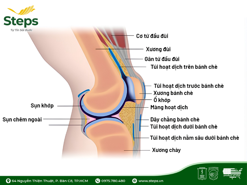 Khớp gối kêu lục cục khi cử động: Nguyên nhân và cách xử lý