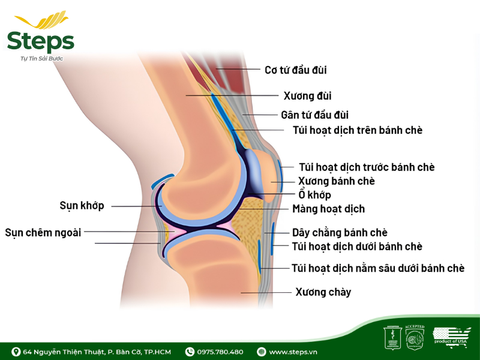 Khớp gối kêu lục cục khi cử động: Nguyên nhân và cách xử lý