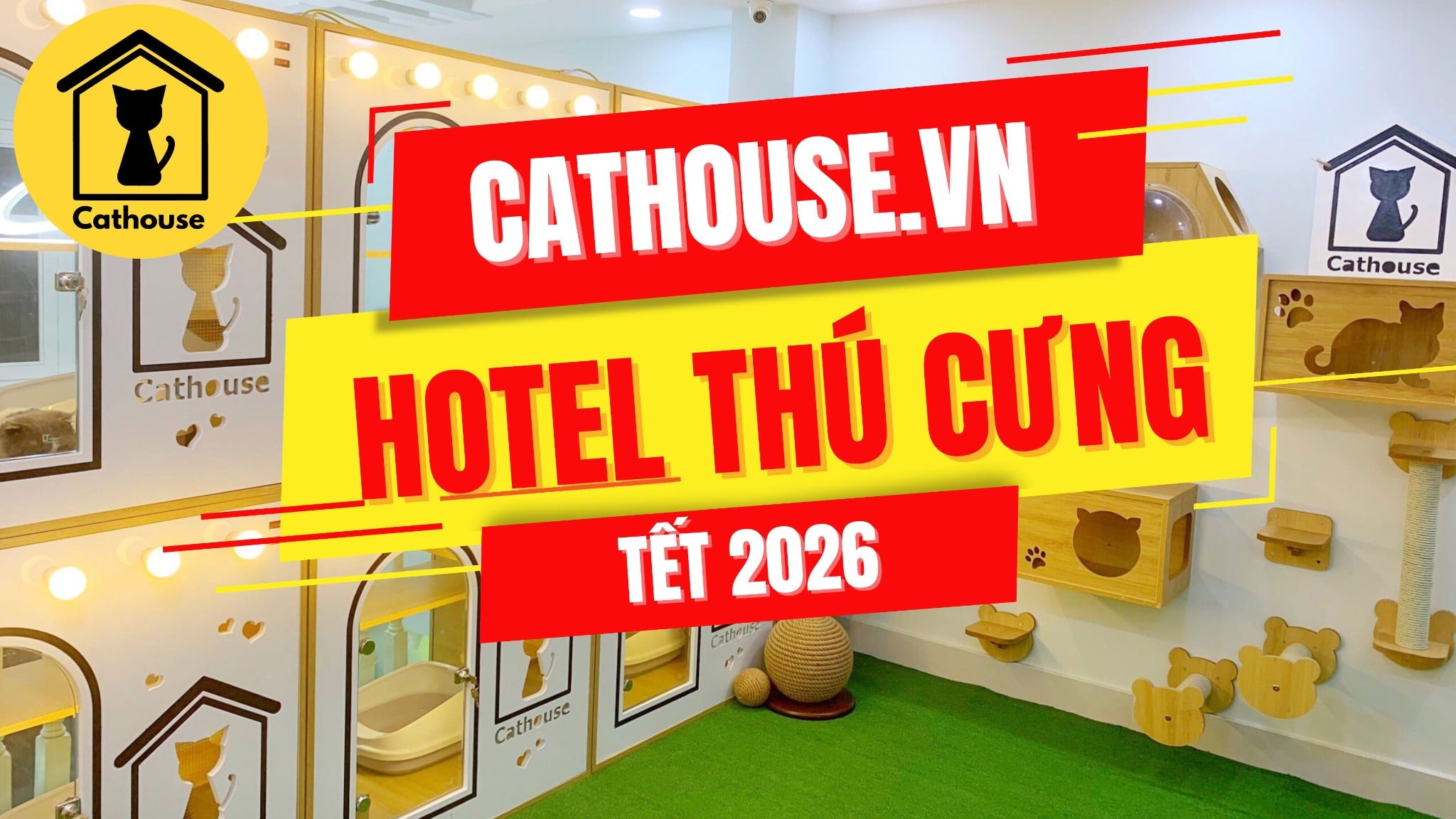Hotel Thú Cưng Lễ Tết 2026 Tại Quận Phú Nhuận