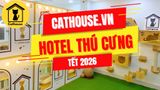 Hotel Thú Cưng Lễ Tết 2026 Tại Quận Phú Nhuận