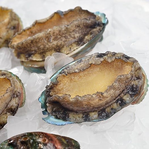bào-ngư-cấp-đông-nissi-2