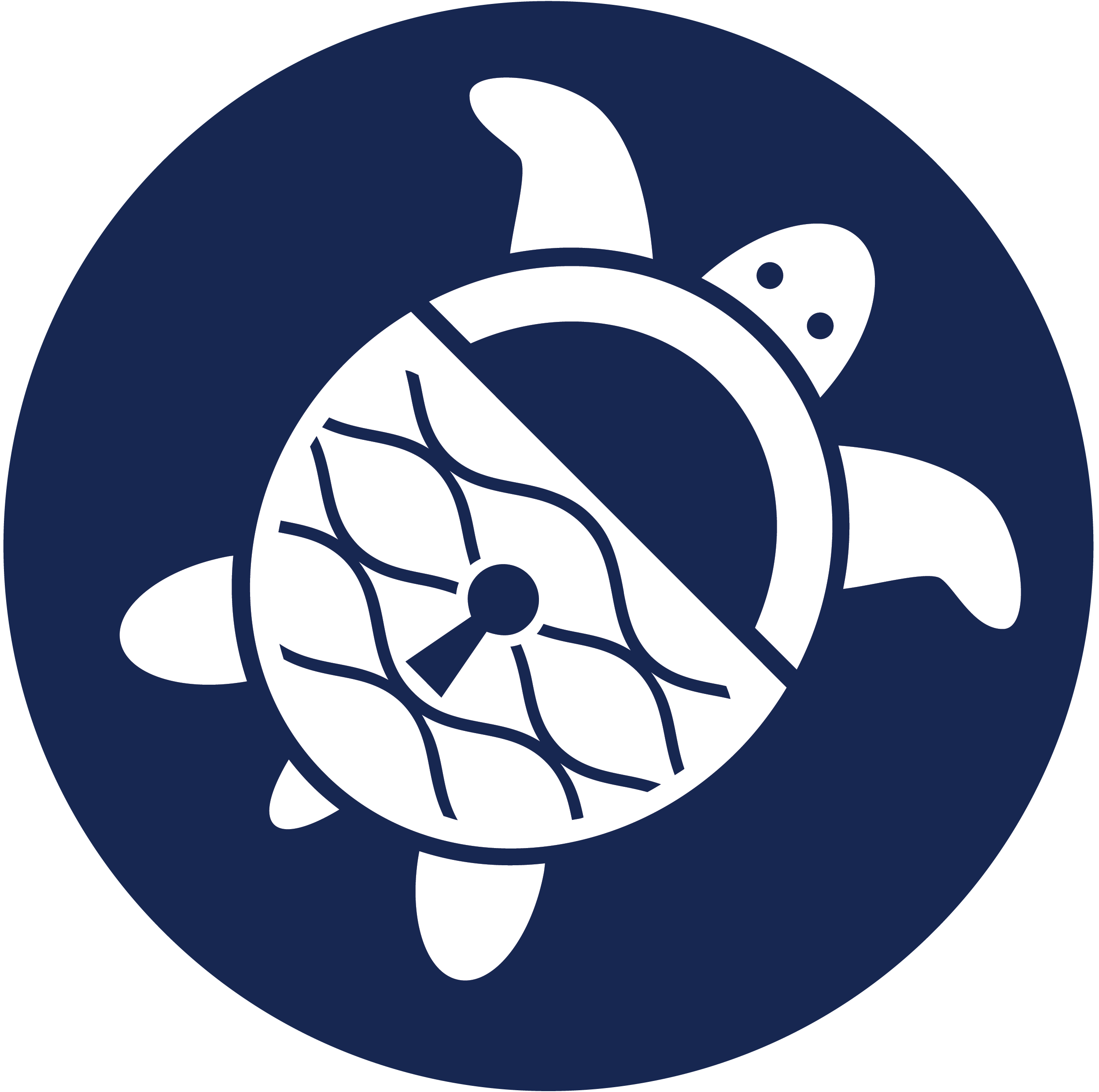 Pacsafe