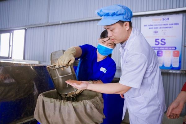 Muối Nanosalt Hành Trình 