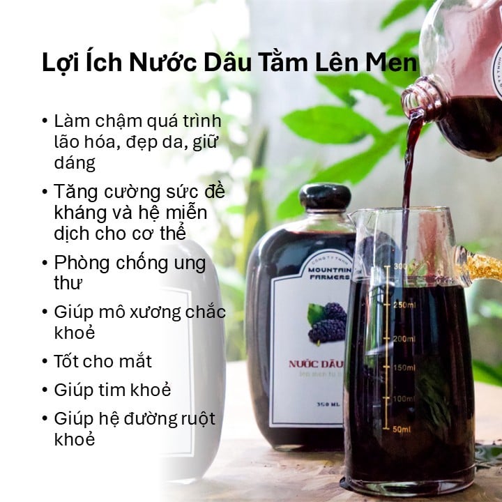 Quả Dâu Tằm - Được Bác sĩ đông y Trung Quốc đánh giá đây là 