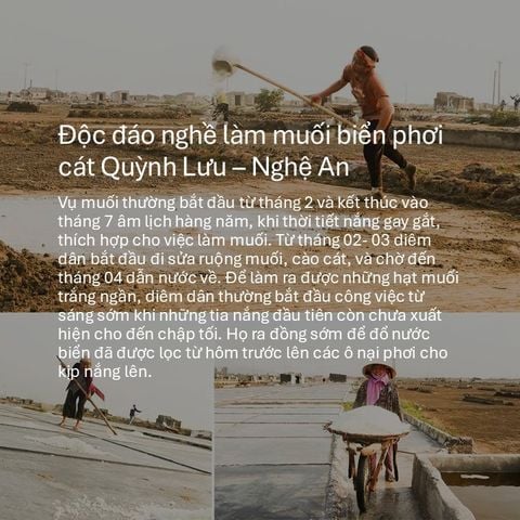 Độc Đáo Quy Trình Làm Muối Phơi Cát Truyền Thống ở Quỳnh Lưu - Nghệ An
