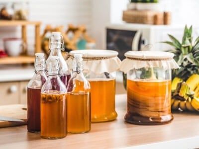 Những Điều Nên Và Không Nên Khi Uống Kombucha Để Phát Huy Tối Đa Hiệu Quả