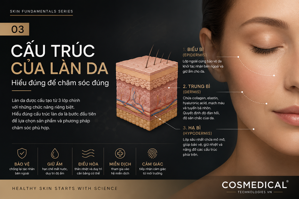 Cấu trúc của làn da: Hiểu đúng để chăm sóc đúng