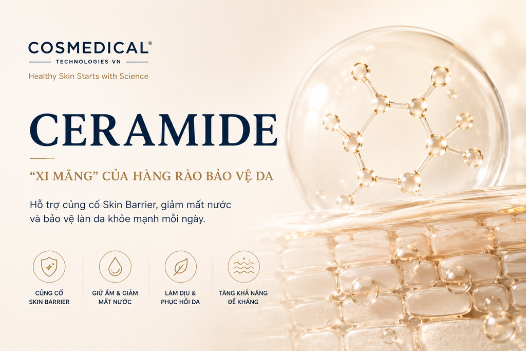 Ceramide là gì? Vì sao Ceramide được xem là 