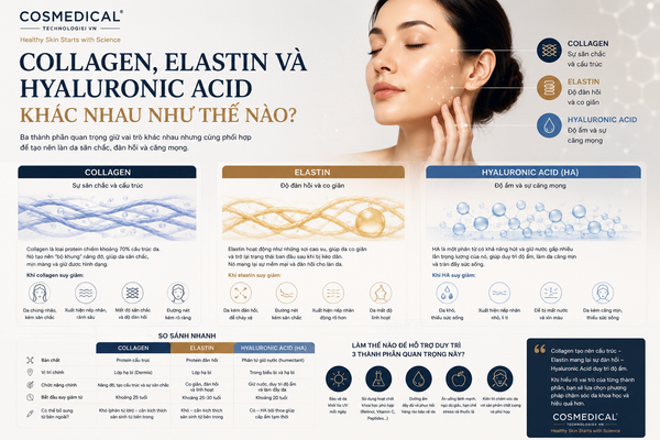 Collagen, Elastin và Hyaluronic Acid khác nhau như thế nào?
