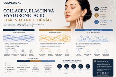 Collagen, Elastin và Hyaluronic Acid khác nhau như thế nào?
