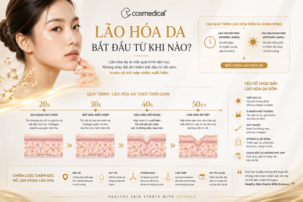 Lão hóa da bắt đầu từ khi nào?
