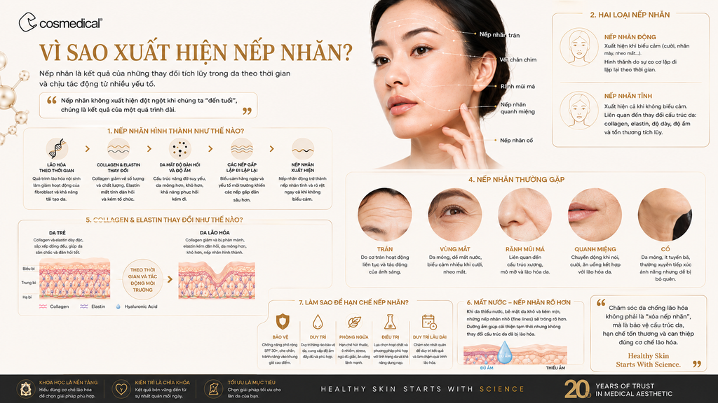 Vì sao xuất hiện nếp nhăn?