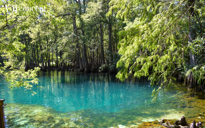 2004 mệnh gì? hợp màu gì, hướng nào giúp thu hút may mắn và tài lộc