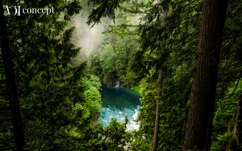 Mệnh Thủy sinh năm nào? Bảng năm sinh, tuổi và ngũ hành