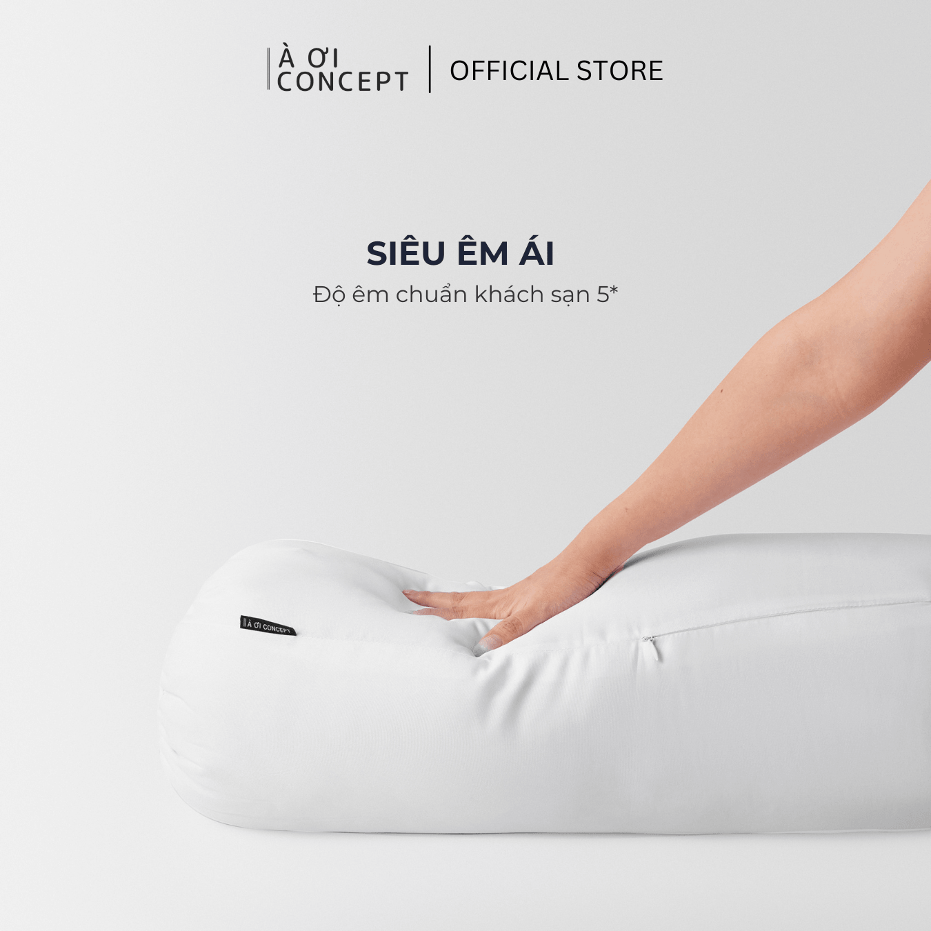 Ruột gối ôm