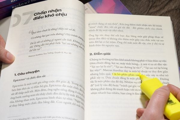 LẠC LỐI TRONG MÊ CUNG 