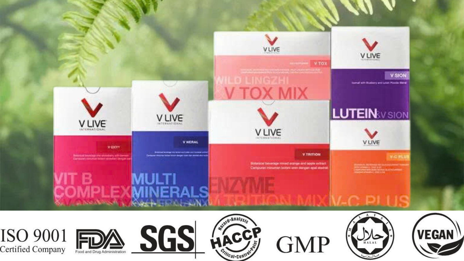 SỰ ĐỘT PHÁ CÔNG CUỘC HỖ TRỢ PHÒNG CHỐNG LÃO HÓA VÀ BỆNH TẬT